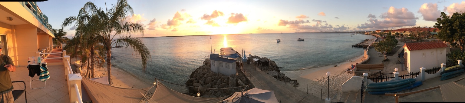 Sunset view near the water.