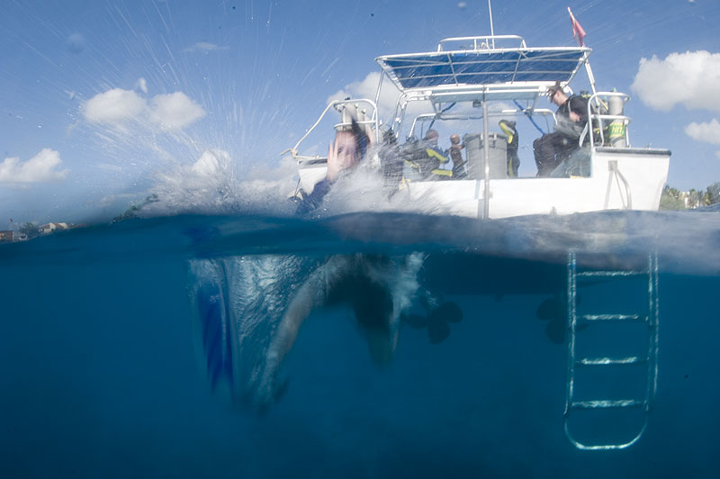 Divers entering the water from a boat.